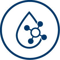 LIV Hydrascience™ Formula